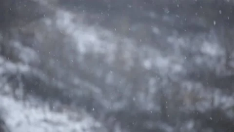 Falling snow in the mountains close-up 動画素材 146395646
