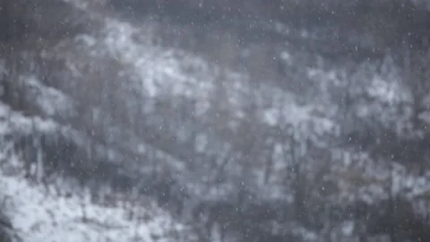 Falling snow in the mountains closeup 動画素材 146395663