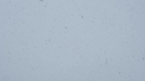 Falling snow. Natural phenomenon. Winter landscape. Stock Footage 316423352