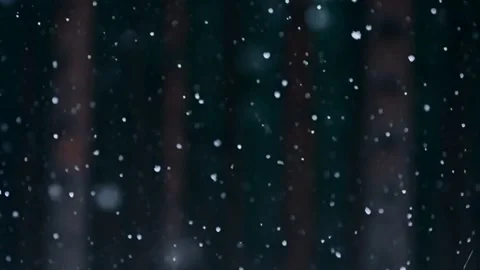 Falling Snow at Night Cinematic Background Footage Loop Tranquil Scene with.. Stock Footage 321948278