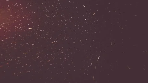 Falling snow at night Stock Footage 99659571