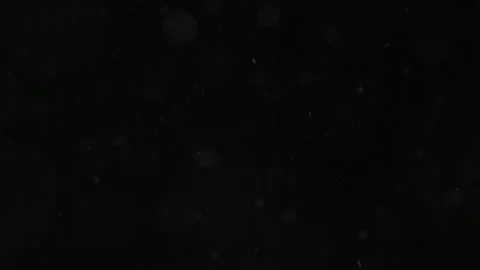 Falling Snow In Night Sky Stock Footage 252885664
