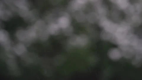Falling snow. out of focus bushes and bubble bokeh in the background Stock Footage 260548450