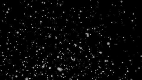Falling Snow Overlay Background Stock Footage 320570542