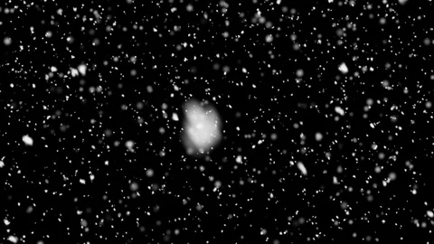 Falling snow overlay on black background. Winter weather effect for creative Stock Footage 340118816
