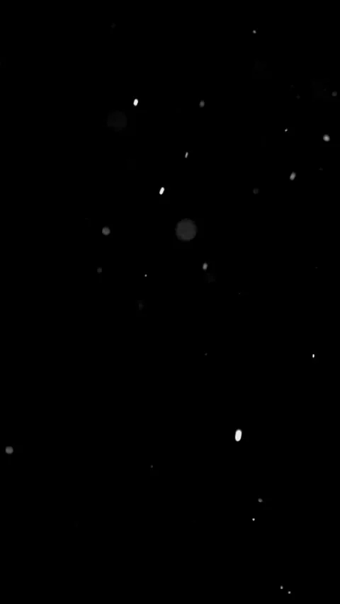 Falling Snow overlay effect. White snow flakes on black background. Stock Footage 295347337