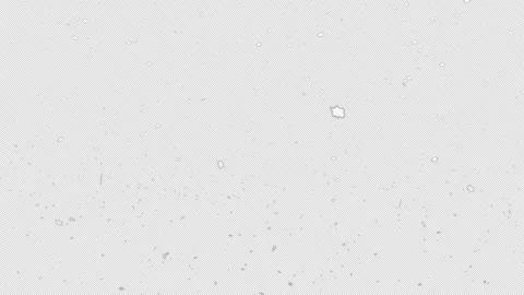 Falling snow overlay layer on transparent background. For Christmas and winter Stock Footage 311360989