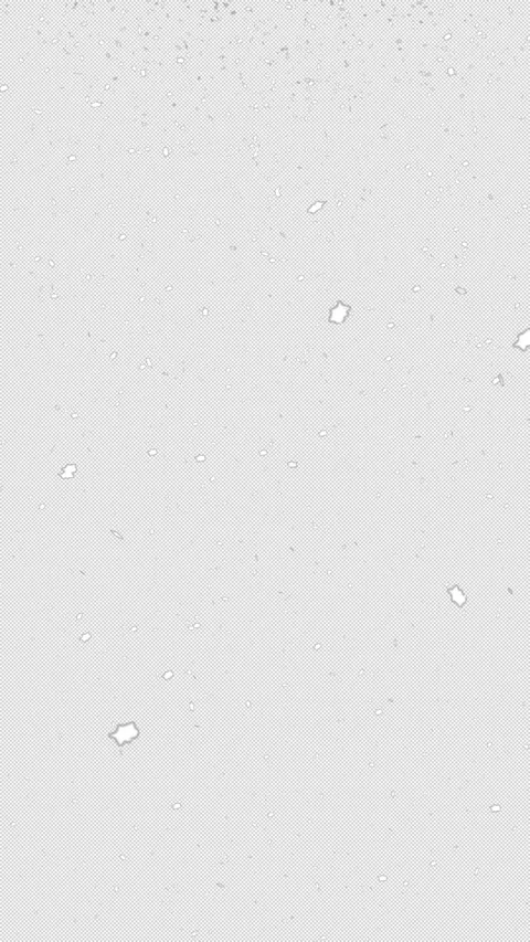 Falling snow overlay layer on transparent background. For Christmas and winter Stock Footage 311425941
