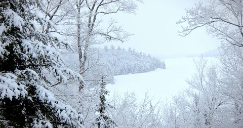Falling Snow Pan Left Stock Footage 123676180
