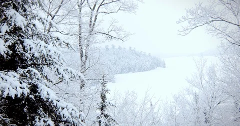 Falling Snow Pan Right Stock Footage 123676203