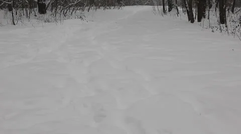 Falling snow in the park 3 Video stock 26151639