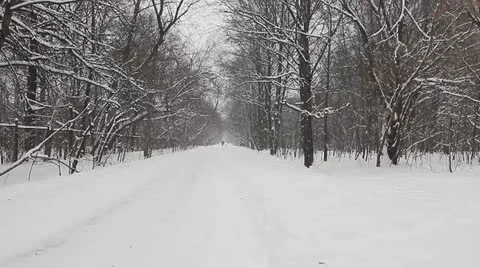 Falling snow in the park Stock Footage 26145050