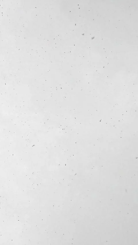 Falling snow particles on flat white winter surface in soft daylight Stock-Footage 321933058