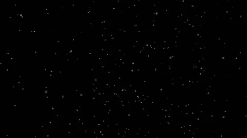 Falling snow particles isolated on black background Stock Footage 125754240