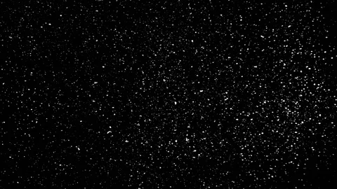 Falling snow particles isolated on black background Stock Footage 125755324