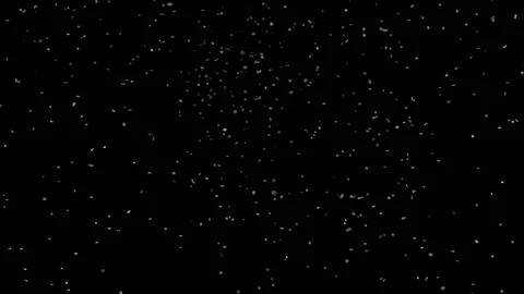 Falling snow particles isolated on black background Stock Footage 125759903