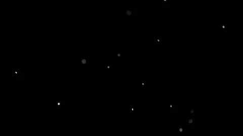 Falling snow particles isolated on black background Stock Footage 125760412