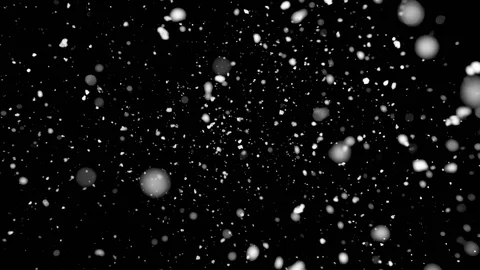 Falling snow particles isolated on black background with bokeh effect Stock Footage 125761117