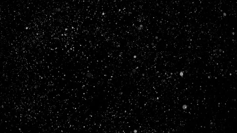Falling snow particles isolated on black background with bokeh effect Stock Footage 125771995