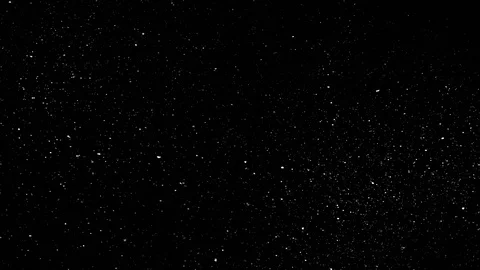 Falling snow particles isolated on black background with bokeh effect Stock Footage 125772254