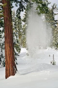 Falling snow Stock Photos