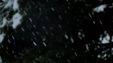 Falling Snow Pine Trees Winter Slow Motion Background 1 Stock Footage 221353028