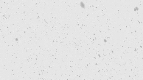 Falling snow, PNG codec with alpha. Loop Stock Footage