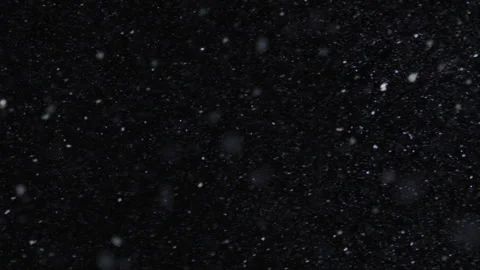 Falling snow with realistic subtle motion. Falling snow for vfx template Stock Footage 343605301