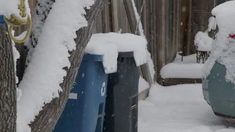 Falling snow by recycling and trash bins, and car and tree in backyard Stock Footage 295919553