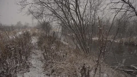 Falling snow by the river and path Stock Footage 142258828