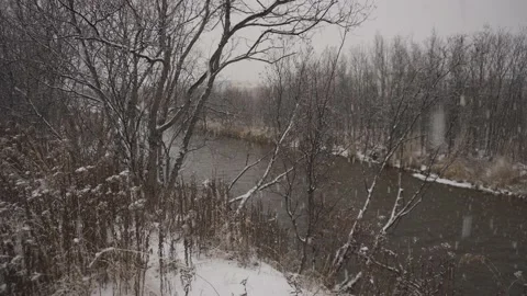 Falling snow by the river and trees Stock Footage 142258827