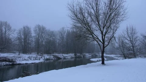 Falling snow in the river. winter landscape. Slow motion . Video stock 171474775