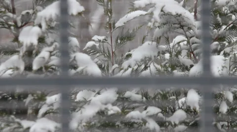 Falling Snow Seen Through Window Blinds Stock Footage 35438308
