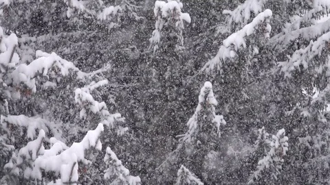 Falling snow slow Stock Footage 83106723