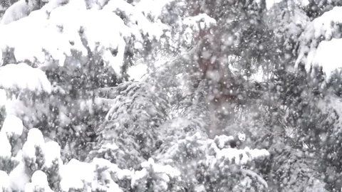 Falling snow slow Stock Footage 83108450