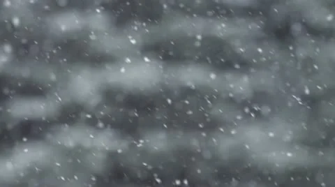 Falling Snow in Slow Motion with Blurred Forest Stock Footage 12353035