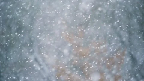 Falling Snow in Slow Motion Stock Footage 170554131