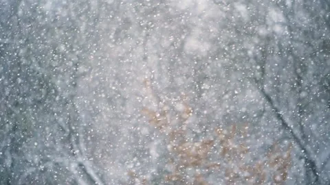 Falling Snow in Slow Motion Stock Footage 170554133