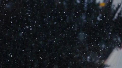Falling snow snowfall in the spruce pine forest wonderland, winter Stock Footage 87876004
