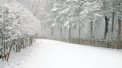 Falling snow in snowing weather in backyard with fence, house, forest Stock Footage 100513835