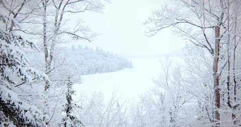 Falling Snow Static Frame Stock Footage 123677275