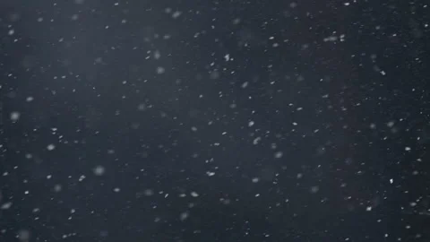 Falling snow with subtle depth effect. Falling snow with natural drifting 動画素材 348796163