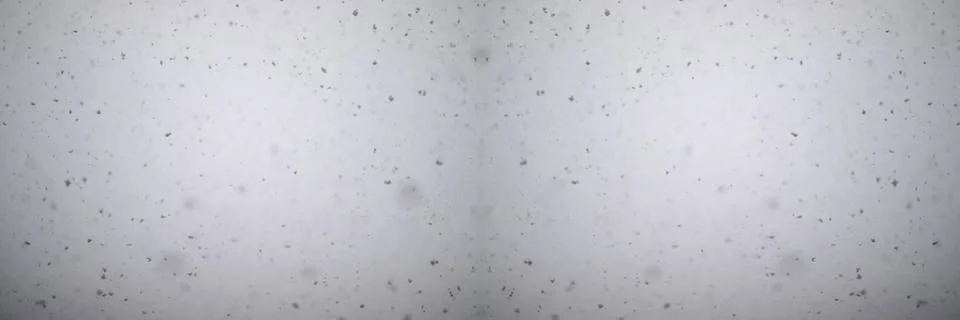 Falling snow texture on grey background banner. Real snowflakes flying in t.. Stock Photos