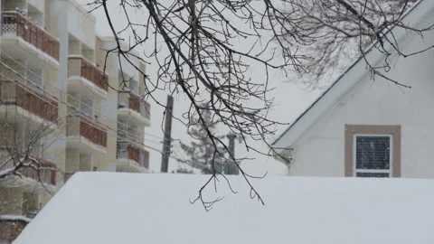 Falling snow tree branch, residential houses and apartment Stock Footage 295920328