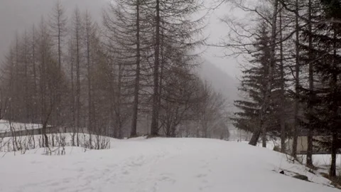 Falling snow in a typical winter mountain landscape. Stockbeeldmateriaal 255968149