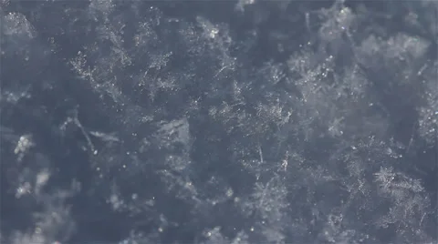 Falling snow under macro Stock Footage 37118468