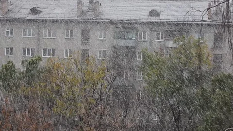 Falling snow on urban background. Stock Footage 96995960