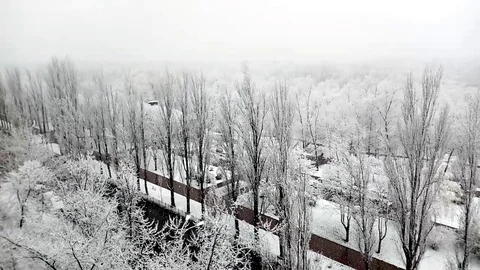 Falling snow, white trees in winter and highway in a beautiful city park. Time 스톡 동영상 127425224