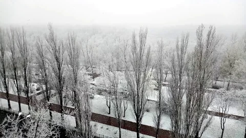 Falling snow, white trees in winter and highway in a beautiful city park. Stock Footage 127487913