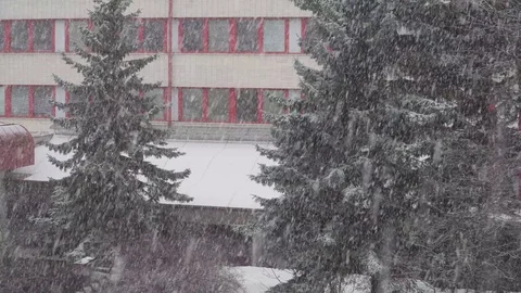 Falling snow with windows and fur-trees at the background Stock Footage 84150933